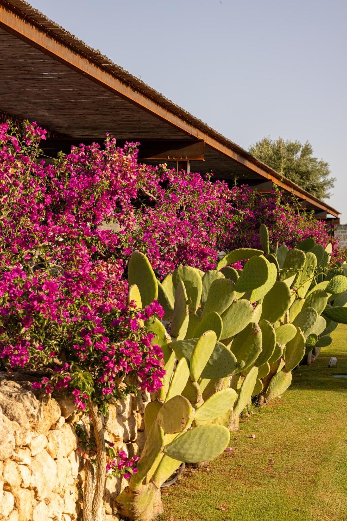 Masseria San Francesco Savelletri Exteriör bild