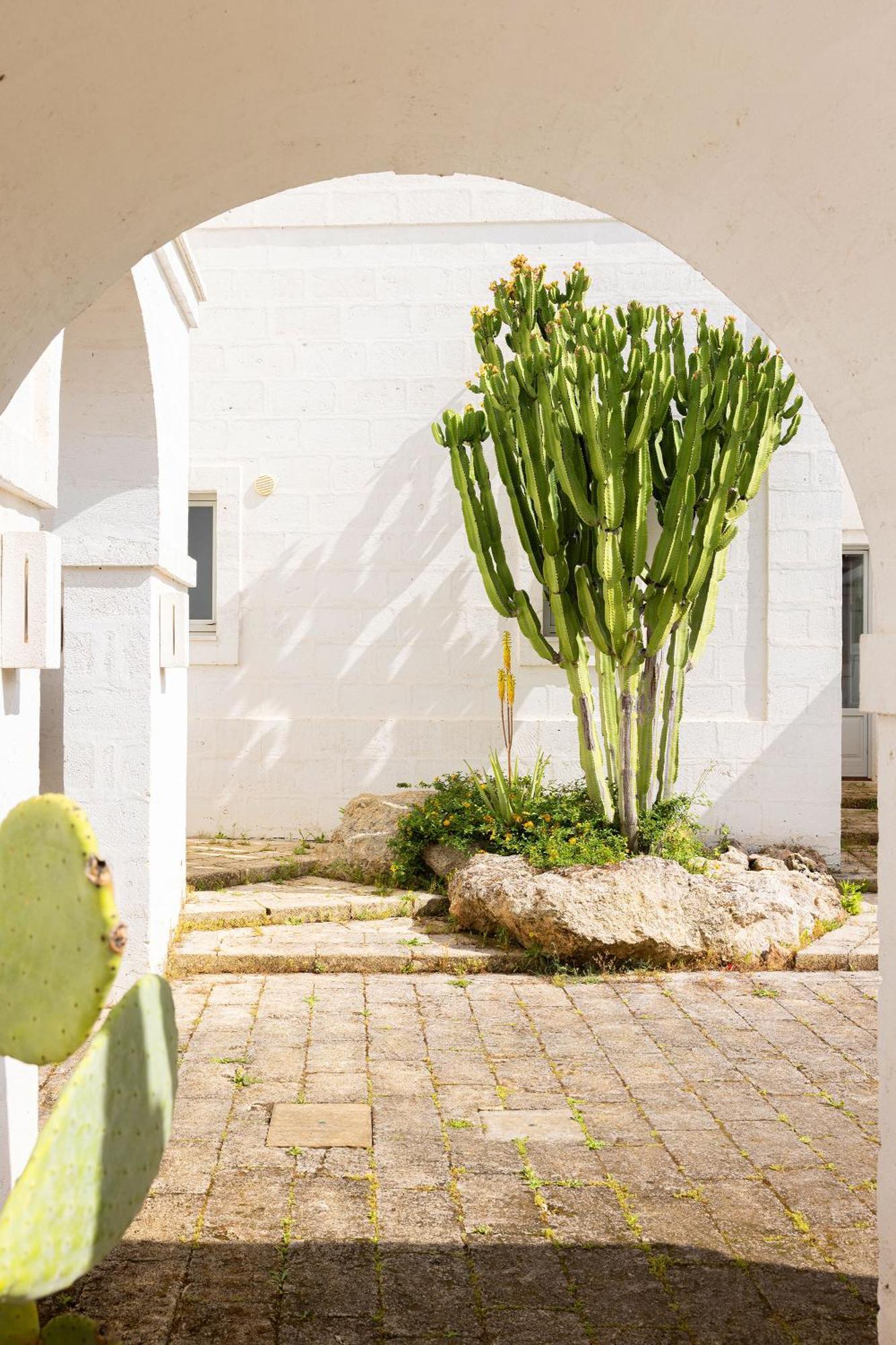Masseria San Francesco Savelletri Exteriör bild