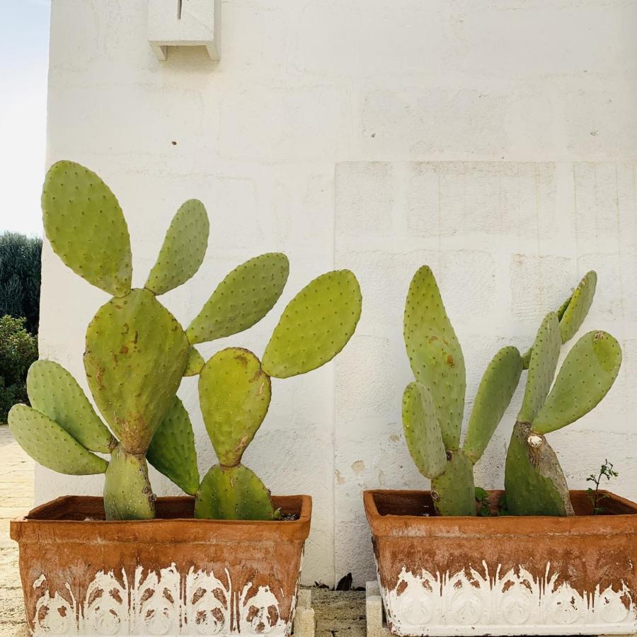 Masseria San Francesco Savelletri Exteriör bild